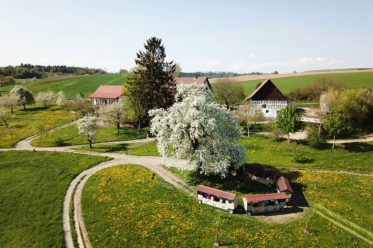 Hof Neuhaus Apfelzügle&reg;